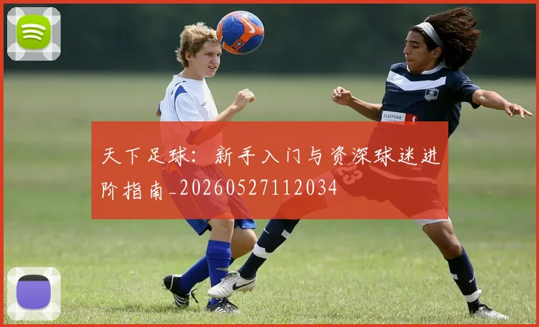 天下足球：新手入门与资深球迷进阶指南_20260527112034